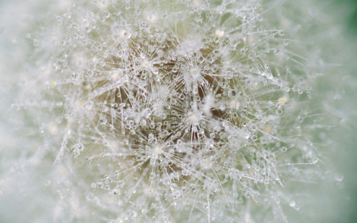 447599 (a): :2560x1600